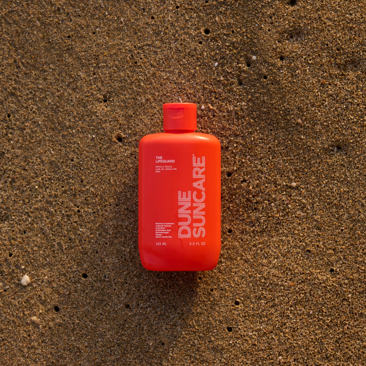 The Lifeguard